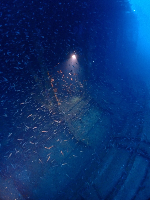 旬の生物＆海況のイメージ