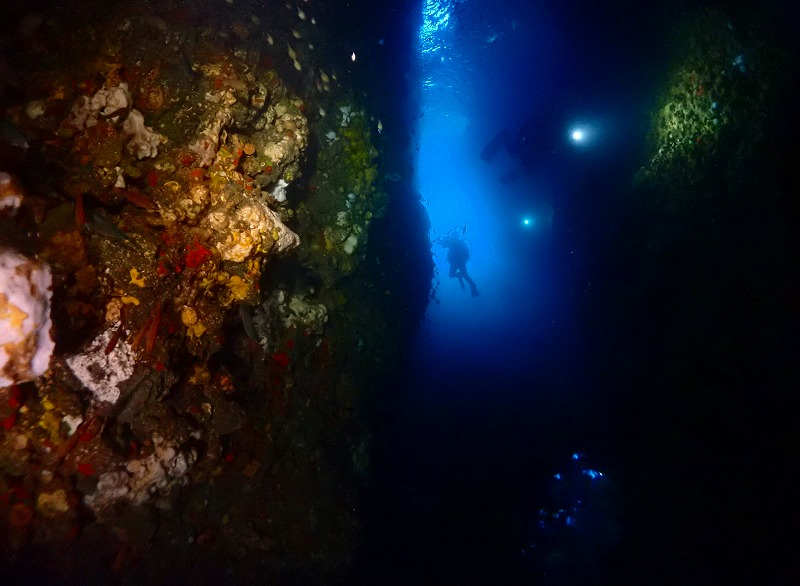 色々お知らせのイメージ